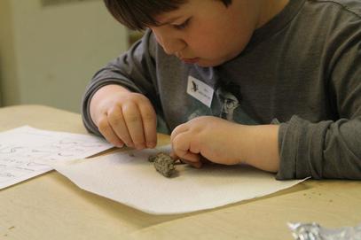 A young boy picking apart an owl pellet