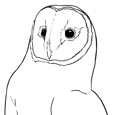 Coloring Pages - International Owl Center - International Owl Center
