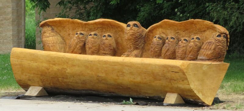 an owl bench carved from a dead tree