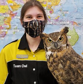 Andie Harveaux holding Ruby the great horned owl
