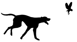 black and white illustration of a dog chasing an owl