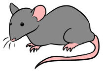 drawing of a gray mouse.