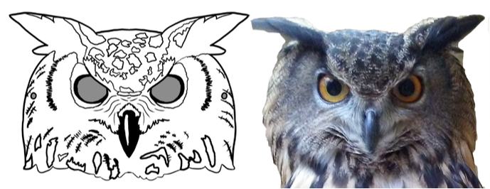Side-by-side owl mask and original owl photo.