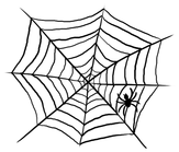 black and white illustration of a spider in a web.