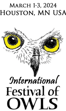 International Festival of Owls Logo
