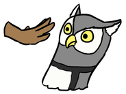 drawing of a gray owl leaning away from an approaching hand.