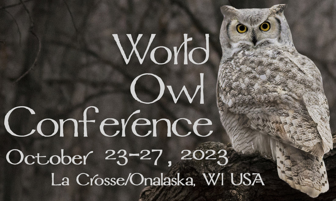 Evora, Portugal owl conference logo